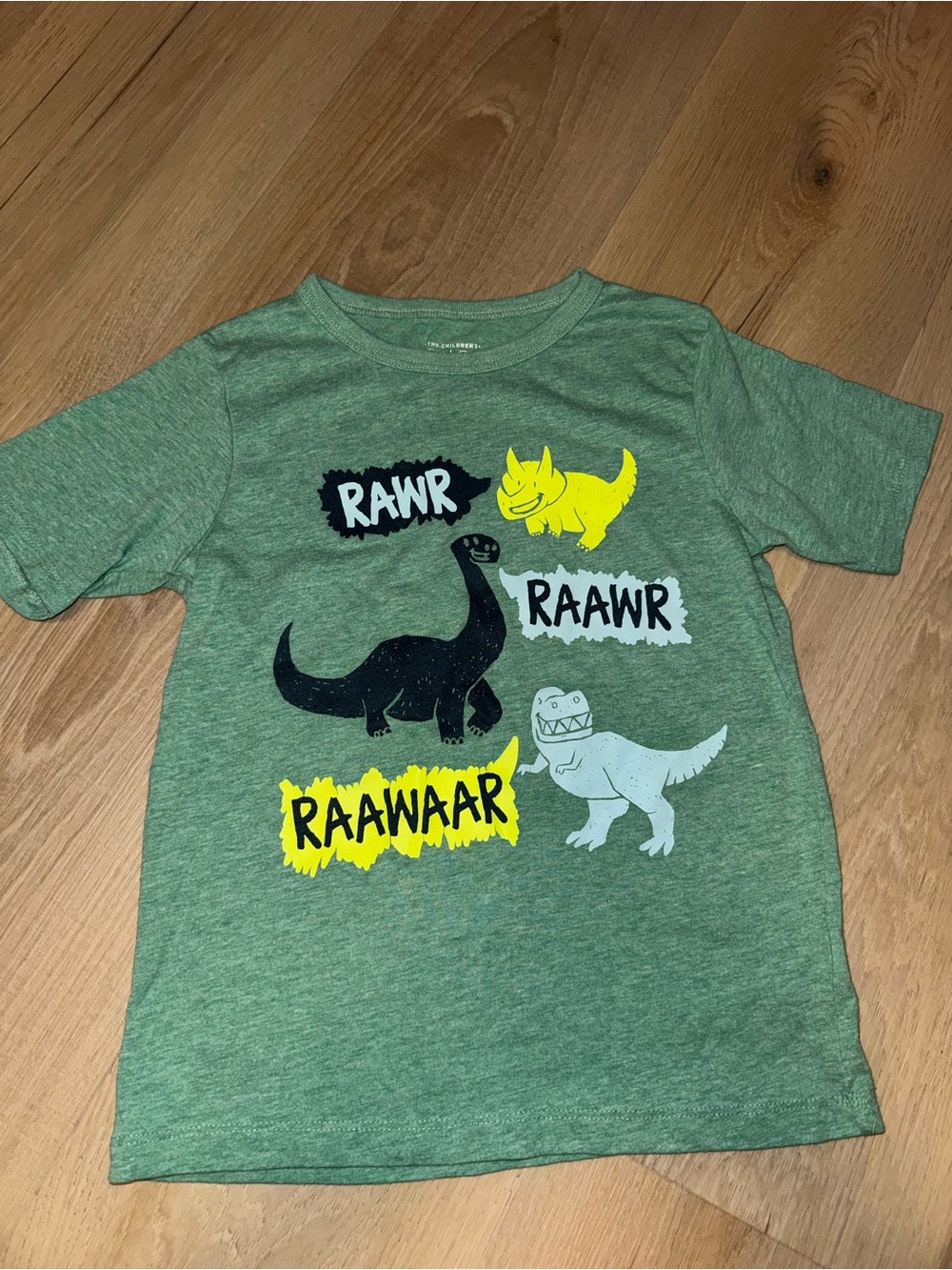 Kids Green Dinosaur Graphic Tee - RAWR Design